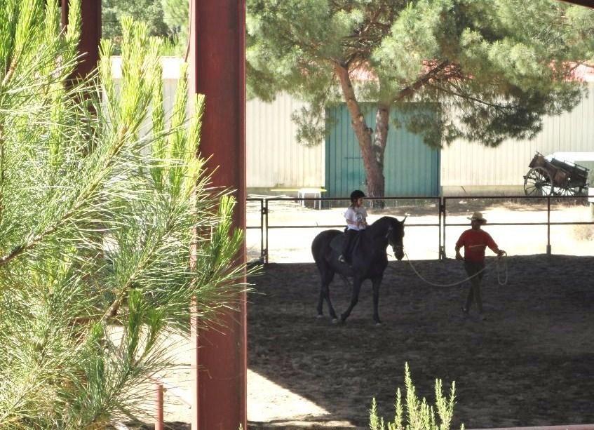 Вілла Coudelaria Vale Pau Коруші Номер фото