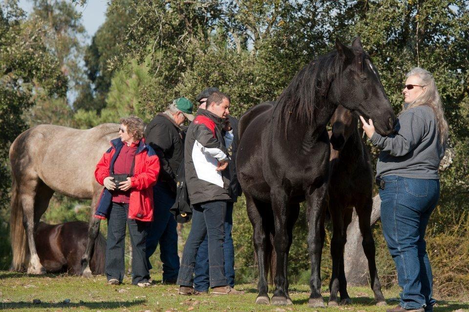 Вілла Coudelaria Vale Pau Коруші Екстер'єр фото